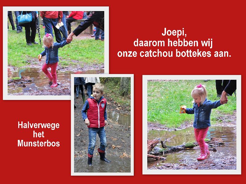 Herfstwandeling op 20-10-2013 (50).jpg